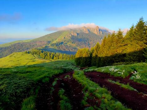 Stara planina