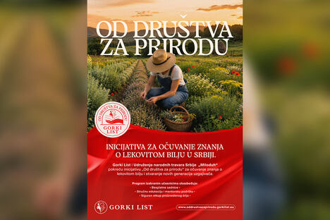 Gorki list