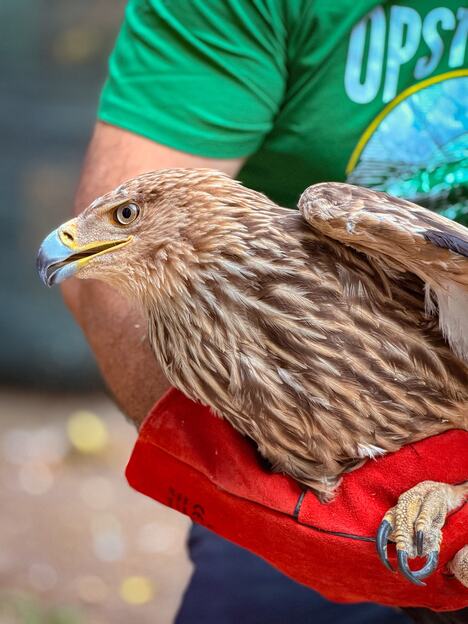 Obelezavanje_Feliksa_foto_Zoo_vrt_Palic_3.jpg