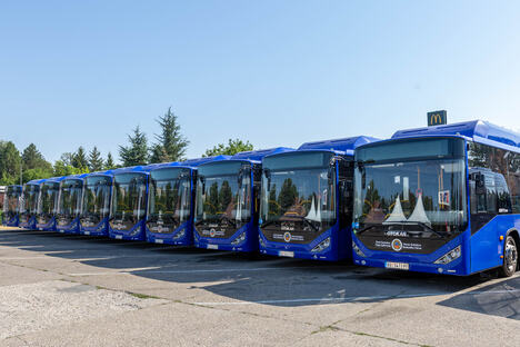11 08 2026 TRAN JUG MF-8.jpg