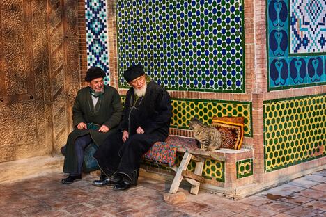 mačka, Uzbekistan