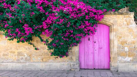 shutterstock_2173357069(1).jpg