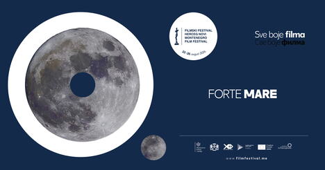 Forte mare_share.png