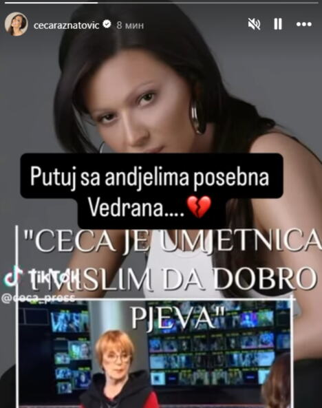 Vedrana Rudan