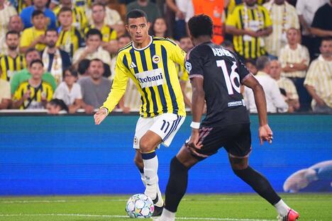 Fenerbahče - Lion