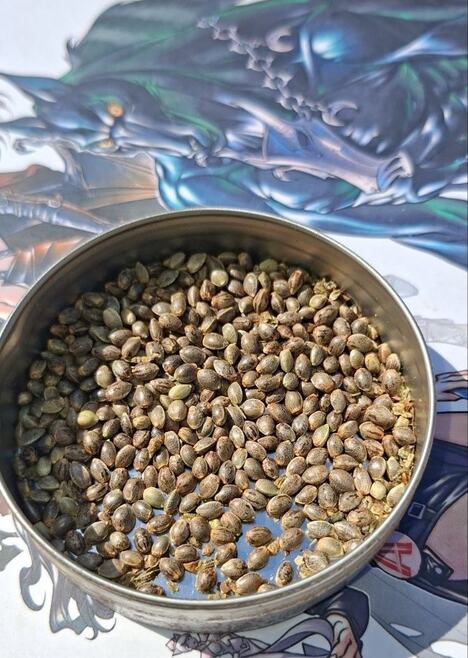 Droga zaplenjena na GP "Đerdap 2"