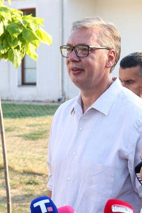 Aleksandar Vučić  (2).jpeg