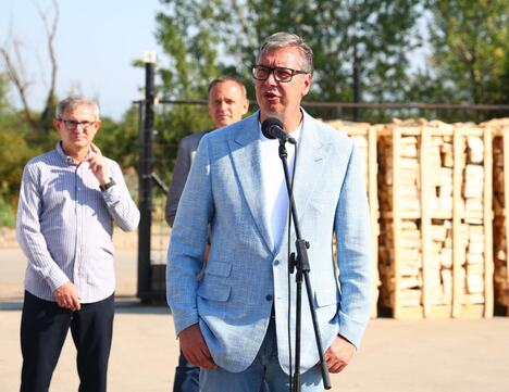 Aleksandar Vučić Leskovac Viktor Pelet Guberevac (8).jpeg