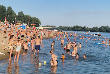 Sremska Mitrovica reka Sava plaža Brioni (1).jpg