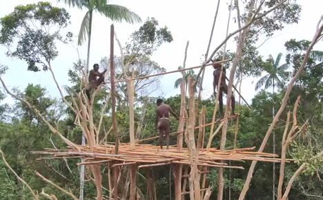 Papua Nova Gvineja, pleme