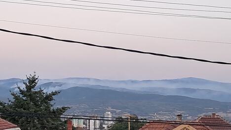 POZARDANAS3.jpg