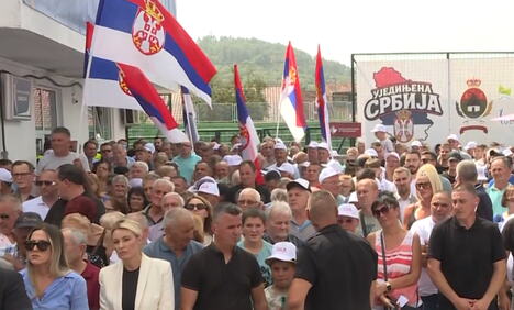 Aleksandar Vučić (5).png