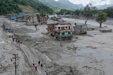 101 AP Sulav Shrestha.jpg
