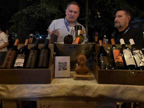 Gradski park Sremska  Mitrovica deveti Gastro-vinski festival Vinski park (6).jpg