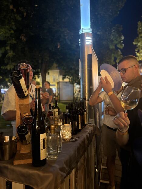 Gradski park Sremska  Mitrovica deveti Gastro-vinski festival Vinski park (8).jpg