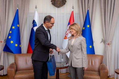 Milica Đurđević Stamenkovski Anže Logar