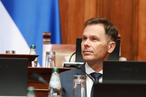 Siniša Mali