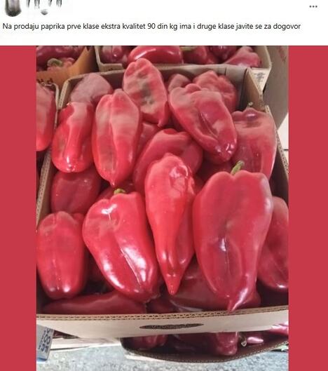 paprika.jpg