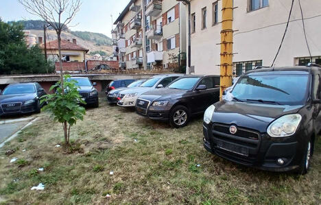 2(1).jpgNo
