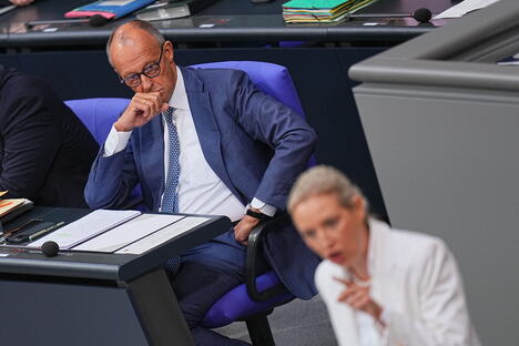 merz widel02 AP Michael Kappeler.jpg