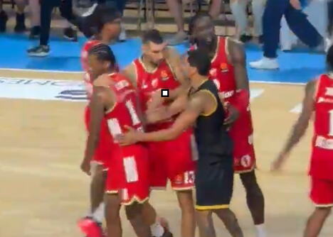 Tuča na utakmici Crvena zvezda Aris