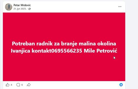 Ivanjica ubistvo