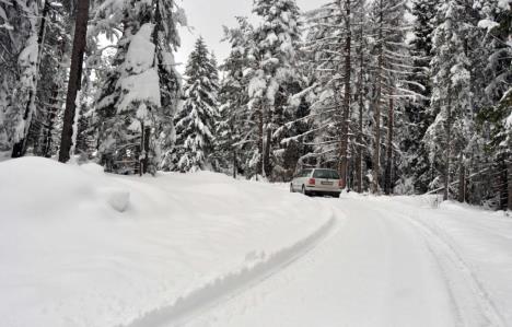 sneg-zlatar-april.jpg