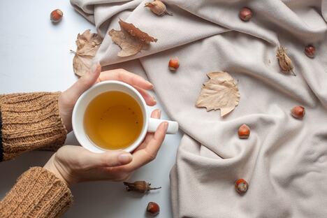 shutterstock_2054204609.jpg