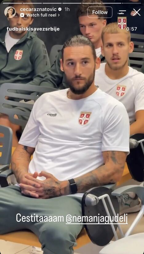 Nemanja Gudelj Ceca Ražnatović