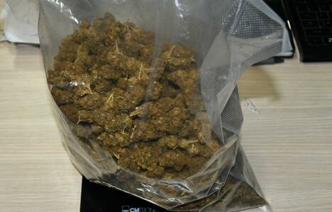 Zaplenjena marihuana