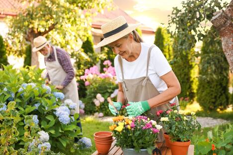 shutterstock_2675547115.jpg