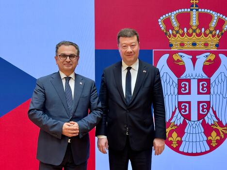 Berislav Vekić i Tomio Okamura predsednik Donjeg doma Parlamenta