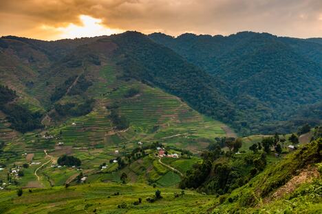 Nacionalni park Bwindi Impenetrable,
