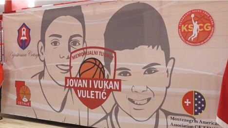 Vukan i Jovan Vuletić