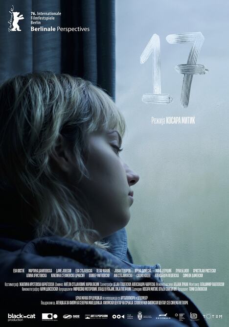 17 poster.jpg
