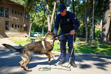 Aki Maki, Vladan Kovačević, policijska brigada (1).jpg