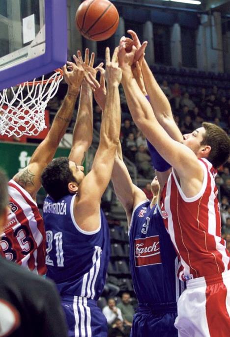 crvena-zvezda-cibona.jpg