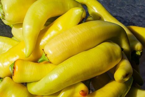 za beli ajvar se koriste zelene šiljaste paprike