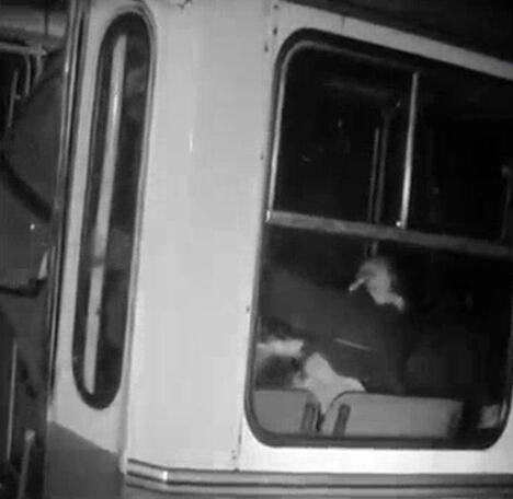 nesreća autobus Paulina Lukić