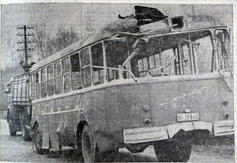 nesreća autobus Paulina Lukić