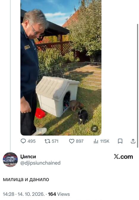 komentari Vučić psi