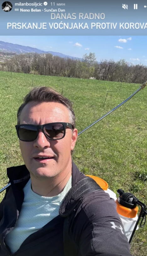 Milan Bosiljčić, radovi na dedovini