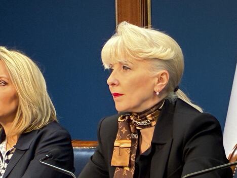pregled cenovnika trgovaca Jagoda Lazarević