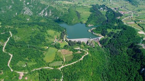RHE Bistrica
