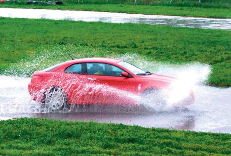 alfa-romeo-alfisti-alfa-klib-srbija.jpg