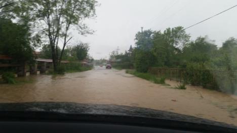 poplave-lazarevac.jpg