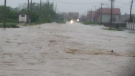 poplave-lazarevac.jpg