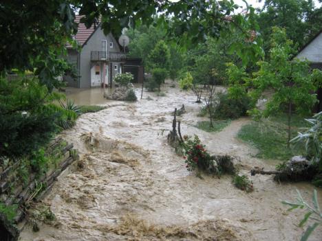 poplave-sremska-kamenica.jpg