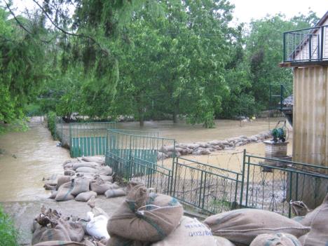 poplave-sremska-kamenica.jpg