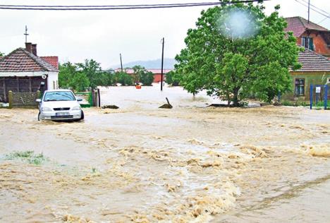 srbija-poplave-vrcin.jpg